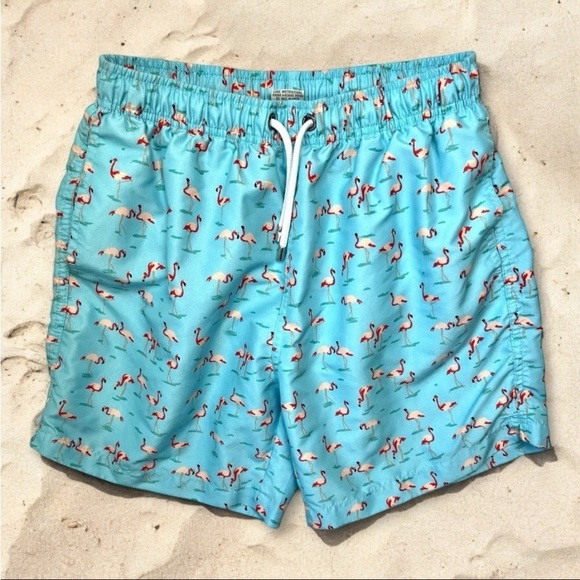 Franks Australia Men Sz L Pink Flamingos Print Swim Trunks Mesh Lined Beach - Picture 1 of 12